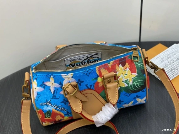 25 SPEEDY Louis Vuitton 0417